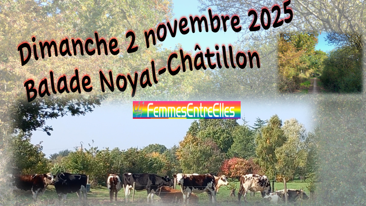 Balade Noyal-Châtillon le 2 novembre 2025